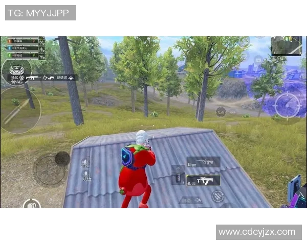 从零起步掌握和平精英节奏技巧全方位攻略与实战经验分享